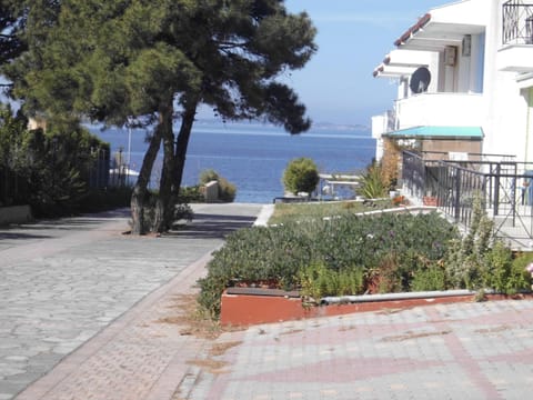Dafni's Home 50 meters from the beach Apartment in Halkidiki