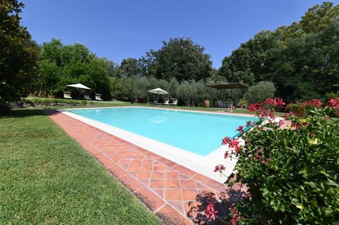 Garden, Garden view, Pool view, Swimming pool, Swimming pool, sunbed