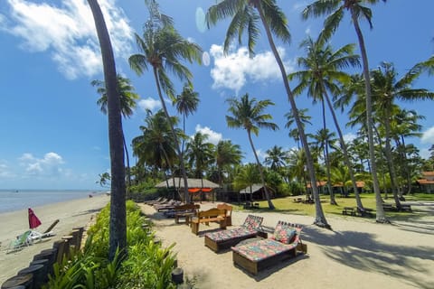 Toilet, Restaurant/places to eat, Natural landscape, Balcony/Terrace, Lounge or bar, Beach, Canoeing, Cycling, Diving, Garden view, Sea view, Area and facilities, Certificate/Award, Family, furniture, pet friendly, sunbed