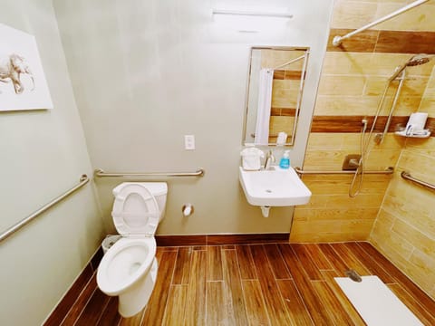 Bathroom, acessibility