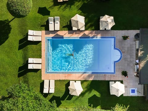 Garden, Pool view, sunbed