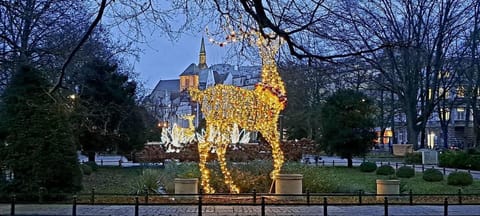 Apartament Lopuskiego 16 Apartment in West Pomeranian Voivodeship, Poland