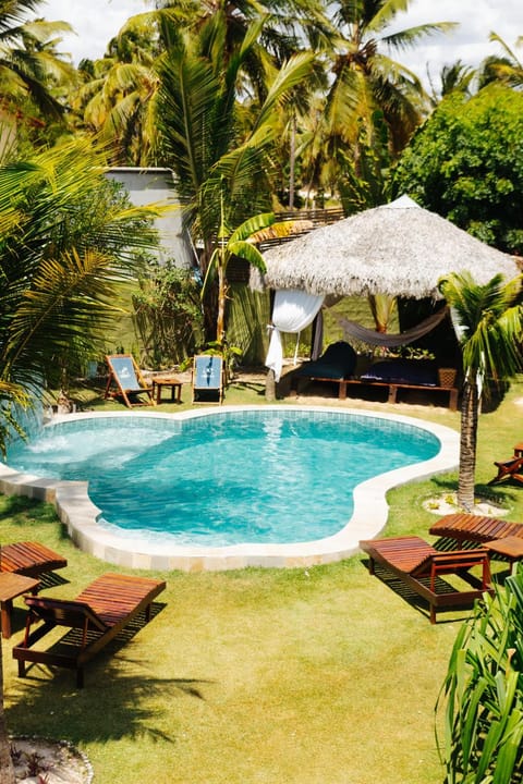 Natural landscape, Garden, Garden view, Swimming pool