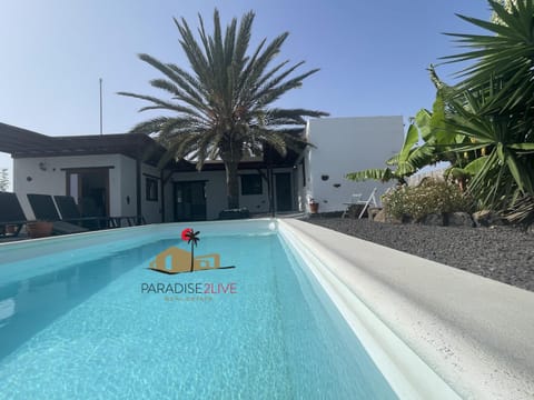 Day, Pool view, Swimming pool, sunbed