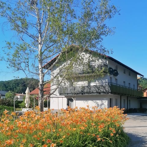 Property building, Day, Garden, Garden view