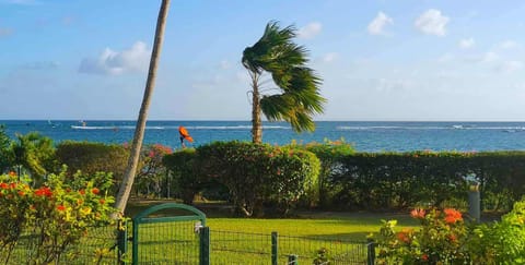 Garden view, Sea view