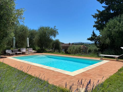Natural landscape, Garden, Garden view, Pool view, Swimming pool, sunbed
