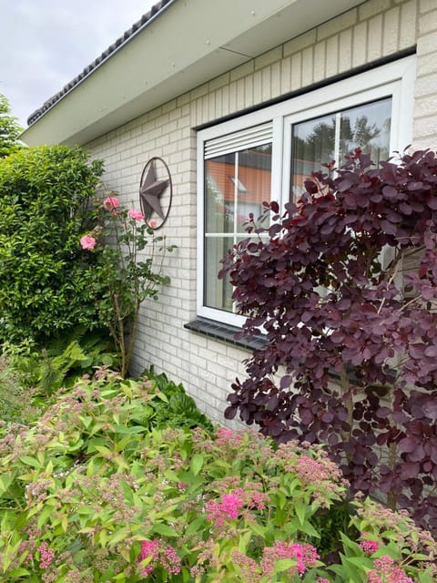 Lonestar Appartement Apartment in Burgh-Haamstede