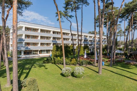 Property building, Garden, Garden view
