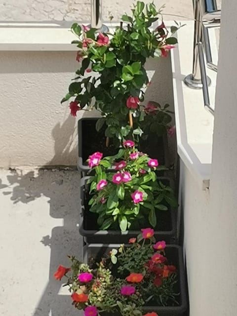 Apartment Lijana sea view Apartment in Tučepi