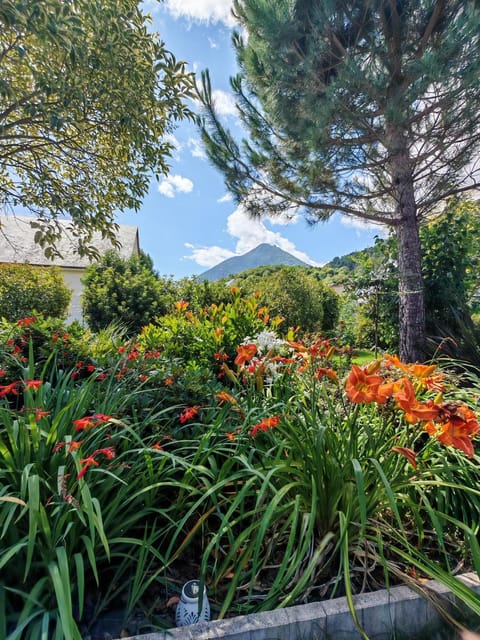 Garden, Garden view