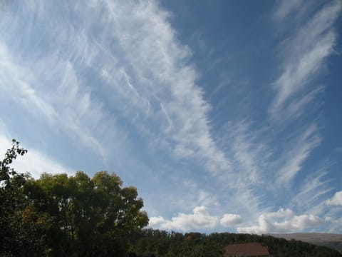 Natural landscape