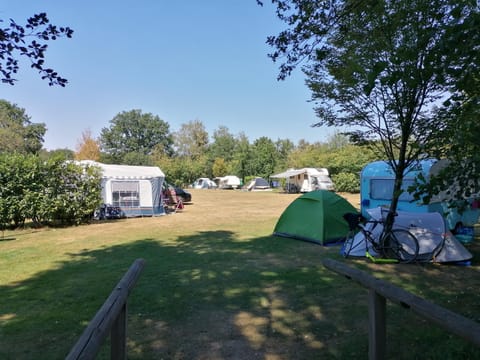 Area and facilities