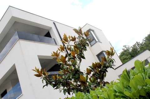 Property building, Garden view