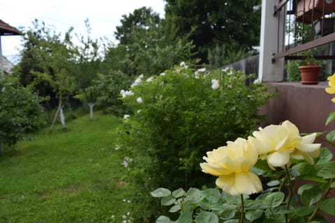 Natural landscape, Garden