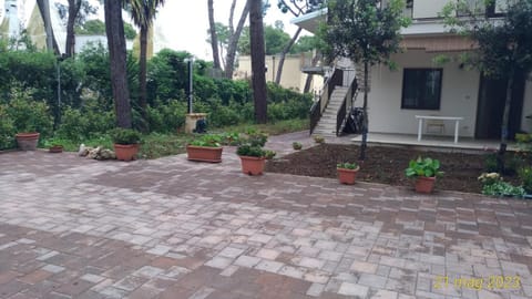 Inner courtyard view