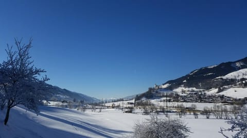 Neighbourhood, Natural landscape