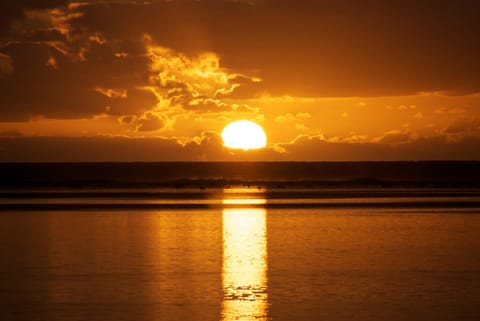 Beach, Area and facilities