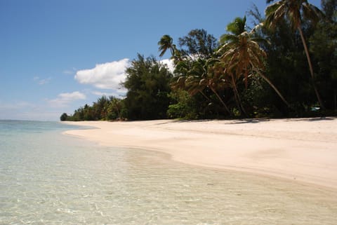 Beach, Area and facilities
