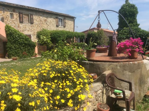 Facade/entrance, Garden