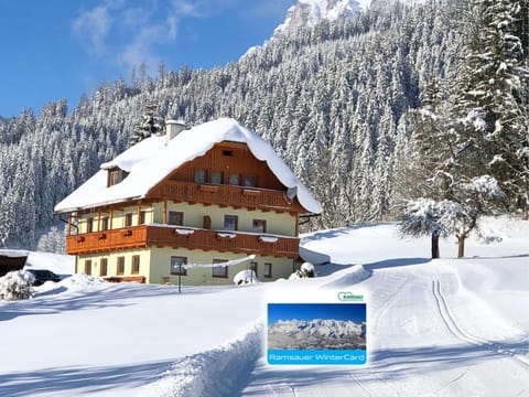 Property building, Winter