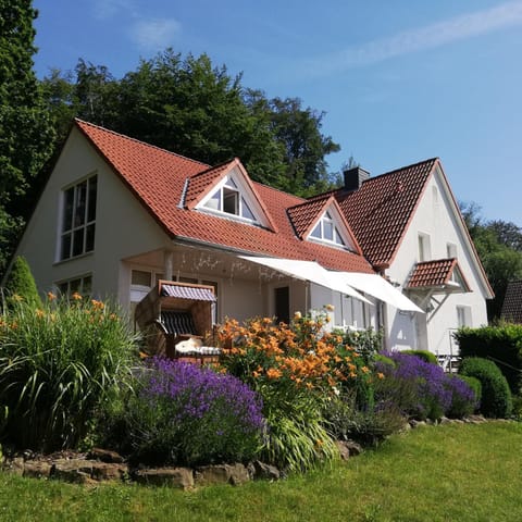 Property building, Summer, Garden