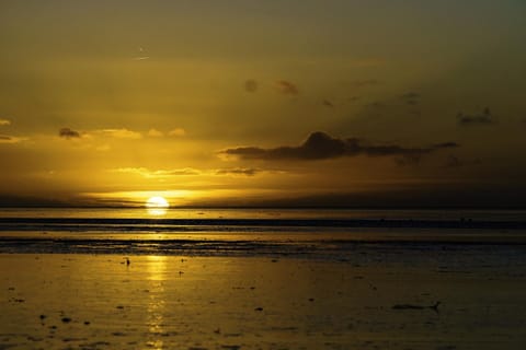 Property building, Beach, Sunset