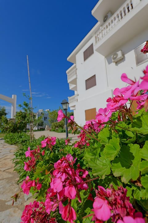Property building, Garden view