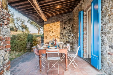 Patio, Patio, Garden, Dining area