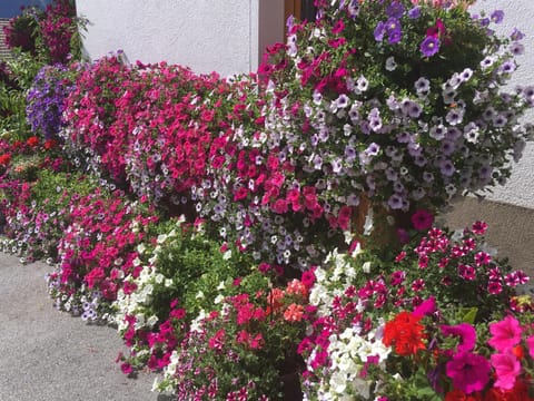 Pension Burgschroffen Bed and Breakfast in Trentino-South Tyrol