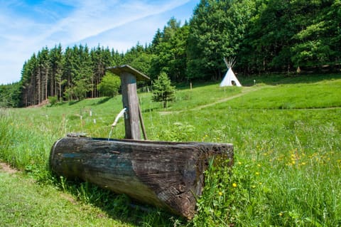 Children play ground, Garden