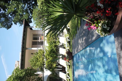 Villa Olevano Bed and Breakfast in Ascona