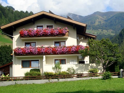 Property building, Summer