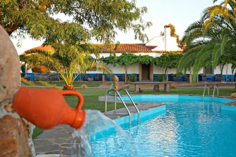 Garden, Swimming pool