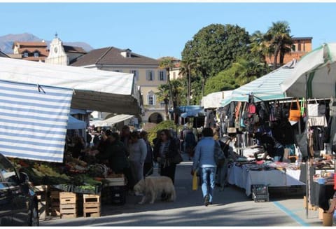 Supermarket/grocery shop