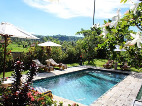 Bird's eye view, View (from property/room), Area and facilities, Swimming pool