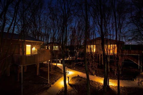 Property building, Night