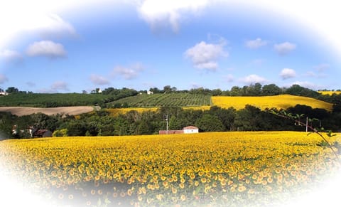 Natural landscape