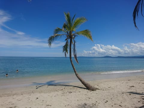 Nearby landmark, Natural landscape, Beach