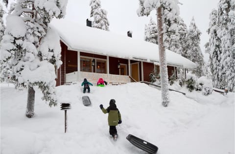 People, Winter, group of guests