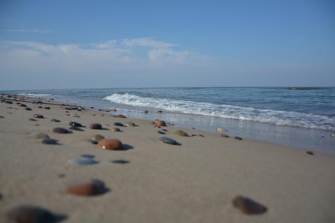 Dmuchawiec Łukęcin Apartment in West Pomeranian Voivodeship, Poland