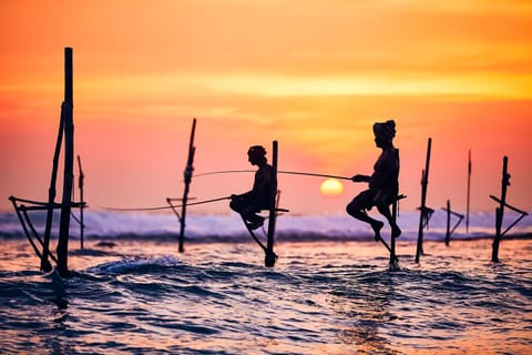 Fishing