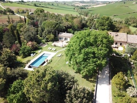 Bird's eye view, Swimming pool