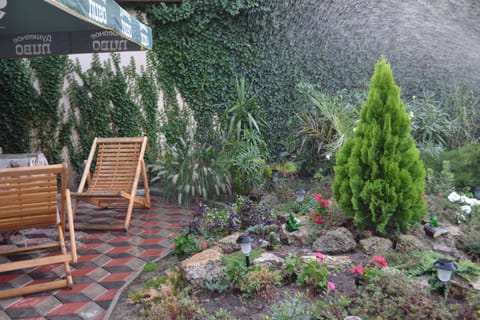 Patio, Garden