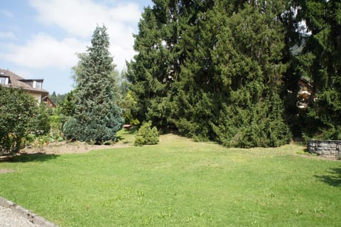 Hotel de Bahyse Inn in Montreux