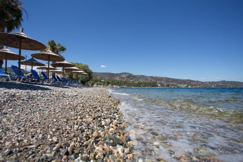 Nearby landmark, Natural landscape