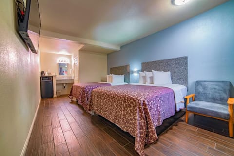 Bed, TV and multimedia, Photo of the whole room, internet, minibar, air conditioner