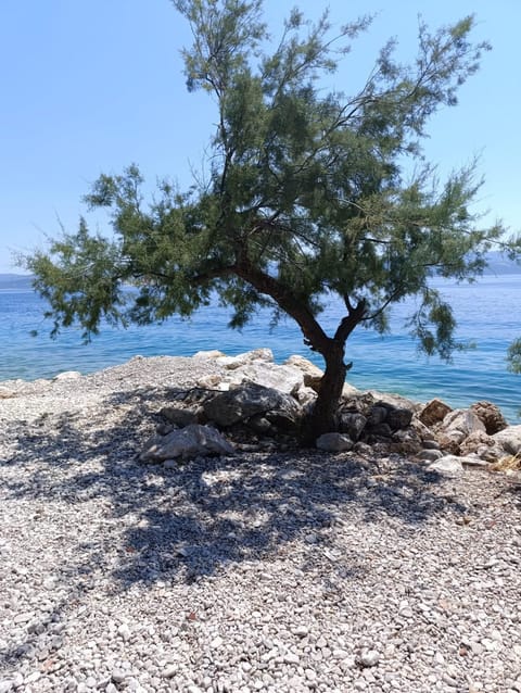 Apartments Ani Apartment in Split-Dalmatia County