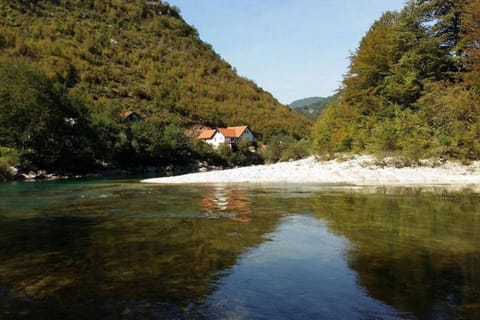 Natural landscape, Beach, Beach