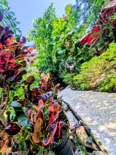 Posada Olivo Hotel in State of Oaxaca